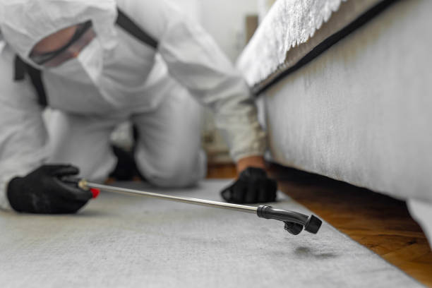 Professional Pest Control technician working in Butte County County, ID